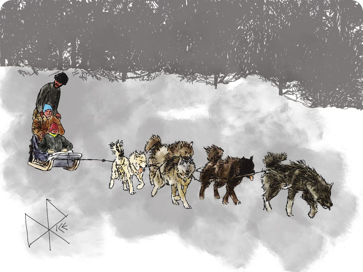A team of sled dogs blazes a trail as they pull the sled behind them. The musher stands at the back while a man and boy are seated as passengers. Sketch art by Don Rice.
