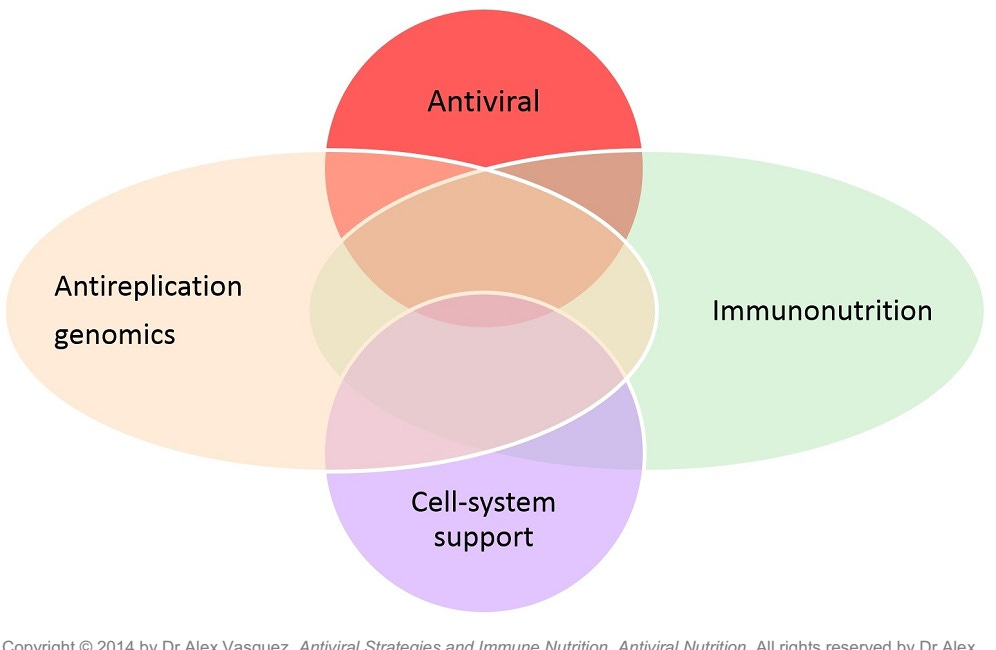 The Proof is in the Panic: Persistent Medical-Governmental Incompetence in the Management of Viral Pandemics is Evidence that We Need a New Paradigm and Interventional Approach