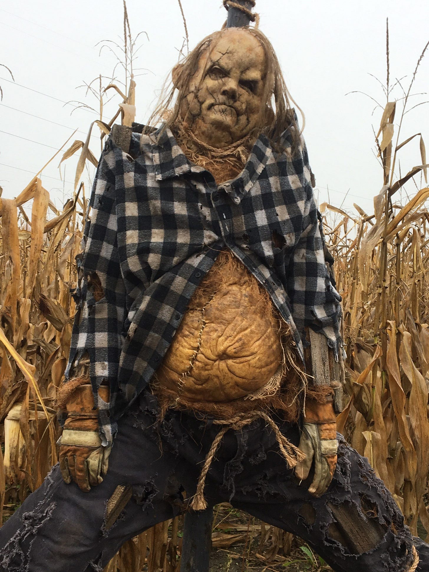 Scary Stories to Tell in the Dark: Bringing the Monsters to Life with  Practical FX at Spectral Motion | Stan Winston School of Character Arts