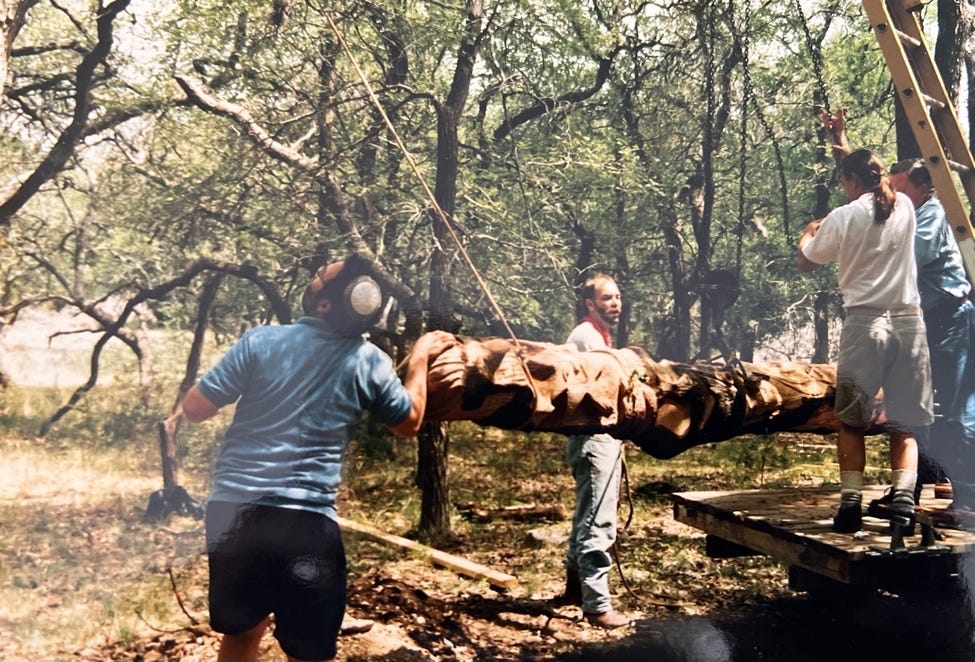 A picture containing tree, outdoor, person, wood

Description automatically generated