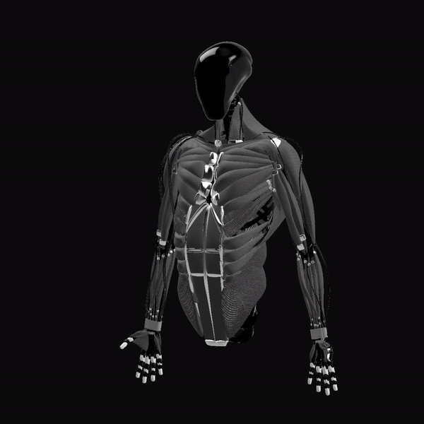 rotate.mp4 [video-to-gif output image]