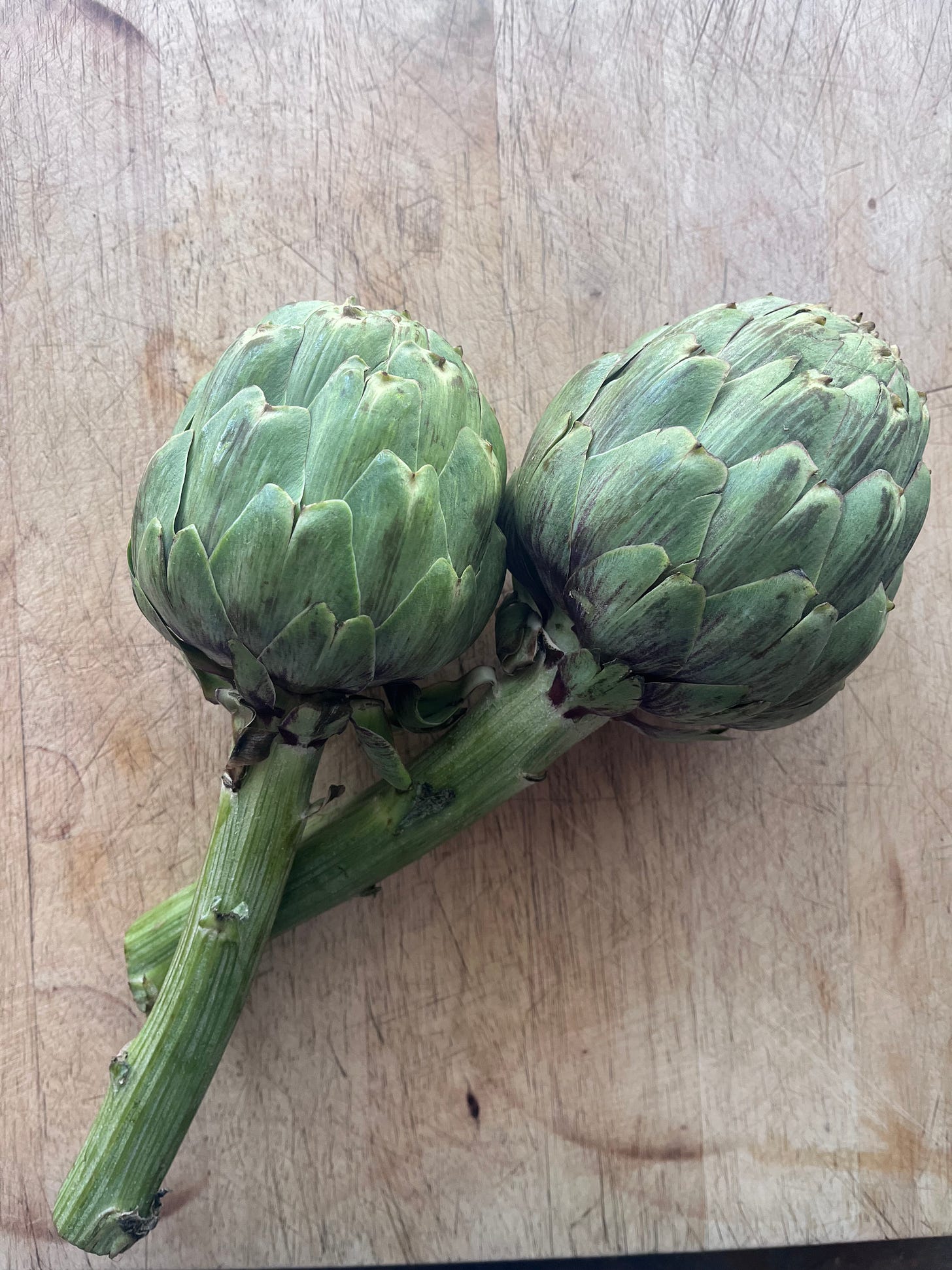 Two artichokes sitting on a wooden cutting board