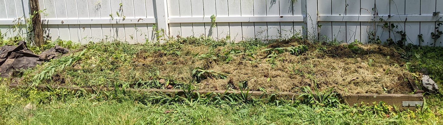 A garden plot with a pile of dead grass and weeds on top.