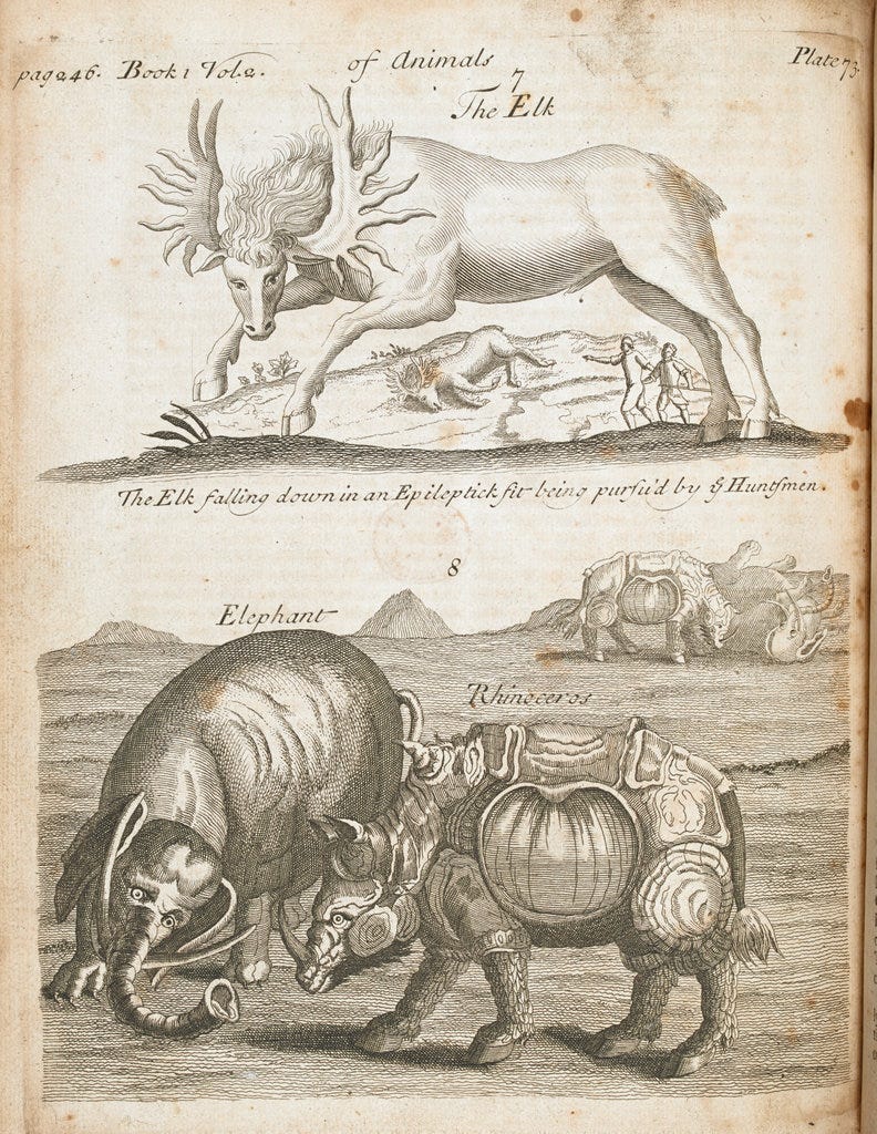 [A Compleat History of Druggs ... The second edition.]