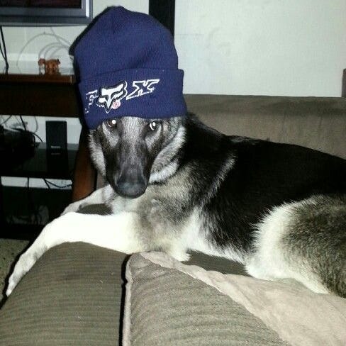 Substack profile picture for @sickness