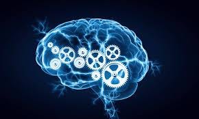 Intelligence is fixed | Centre for ...