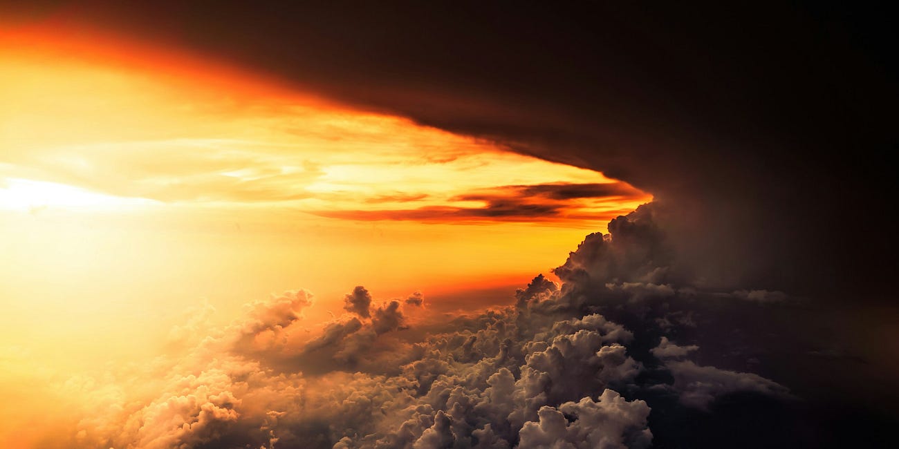 Conformed to the Image of His Son