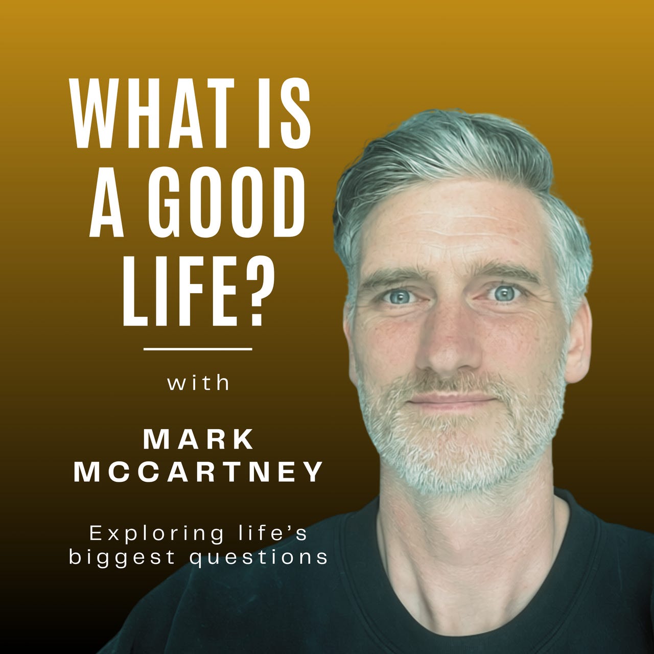 What is a Good Life? logo