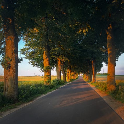 Nowy Dwór Mazowiecki - Toruń - Grunwald / fot. instagram.com/roody102