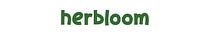 herbloom