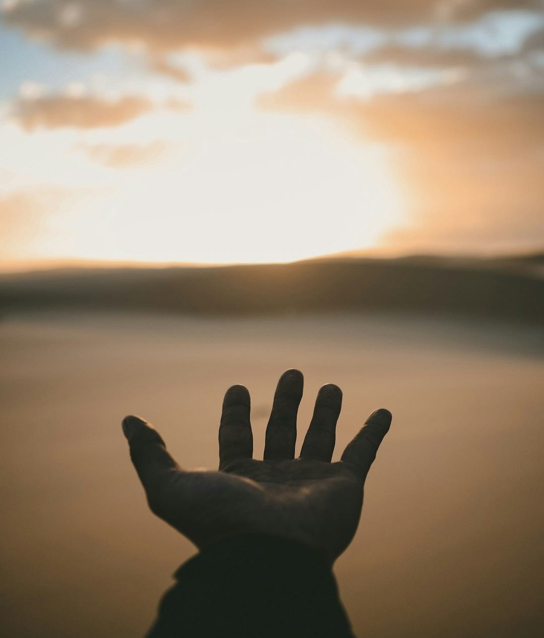 person's hand person's hand