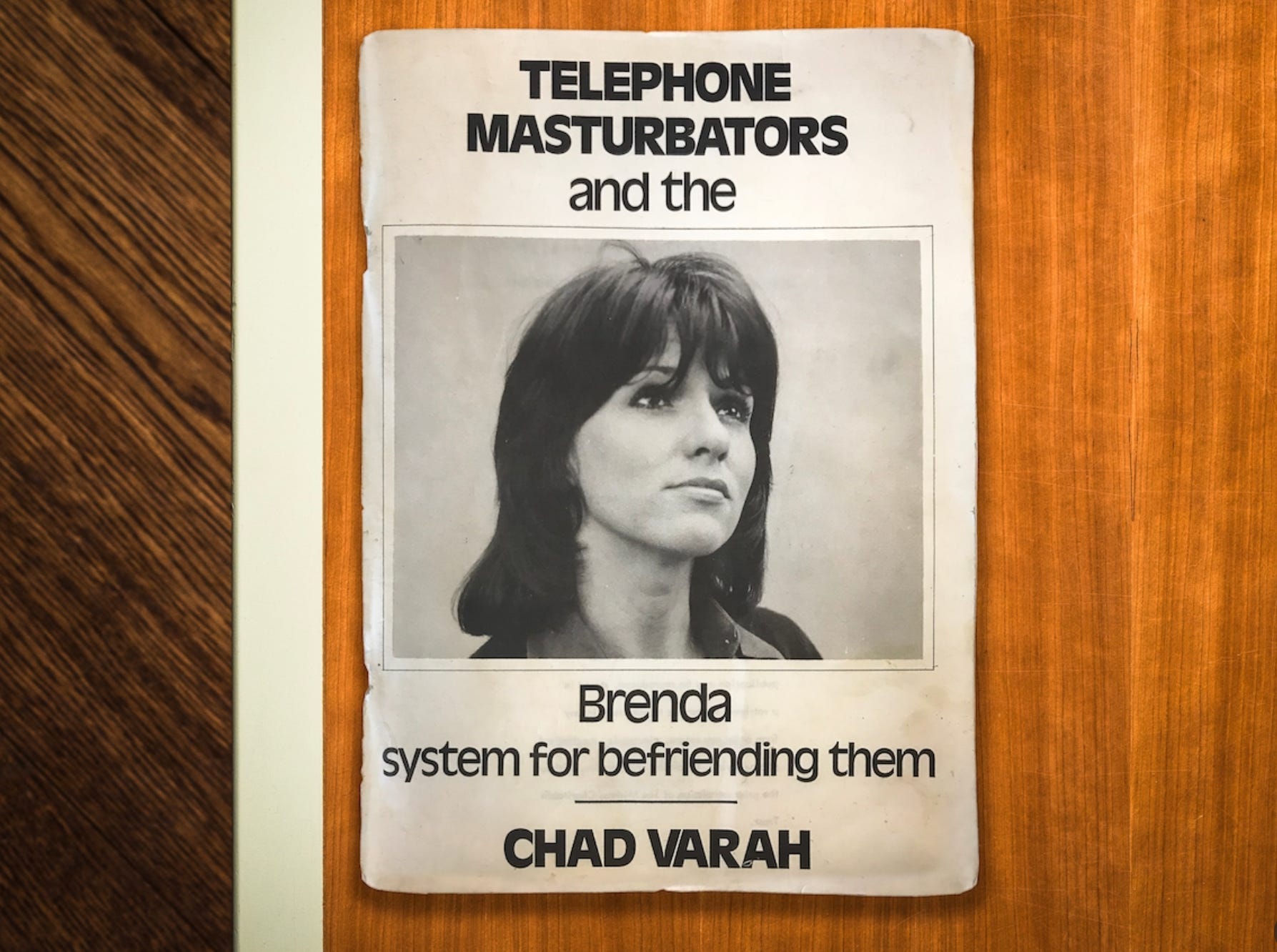 The Brenda Volunteers - by Graham Linehan
