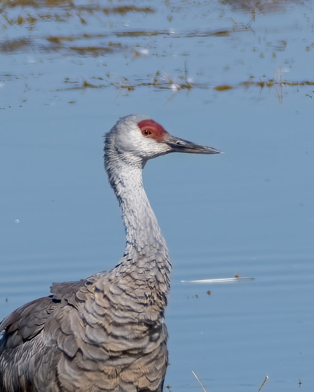 20250128-Willcox-887-Edit.jpg 20250128-Willcox-887-Edit.jpg