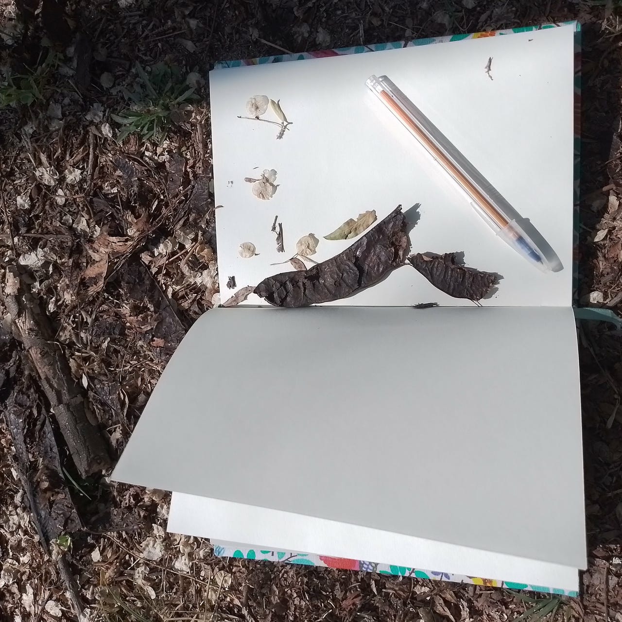 Siento, luego escribo