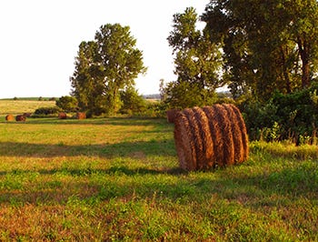 photo of plein air painting location
