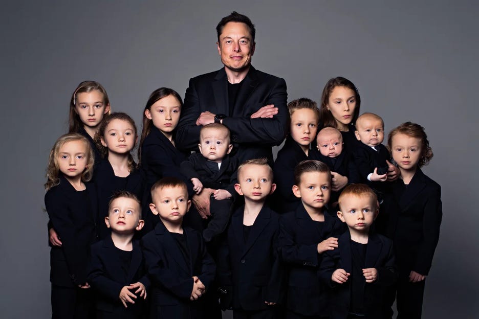 Musk, his children and the crisis of declining birthrates