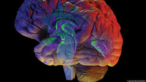 New 'brain atlases' may change fight ...