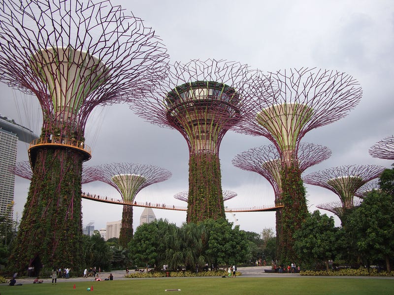 Supertree's