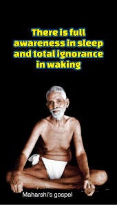 This sleepless sleep, wakeful sleep or whatever it may be called, is the  turiya state of the Self, on which as the screen, all the three avasthas  (states) of waking, dream and