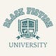 Black Fiction University 