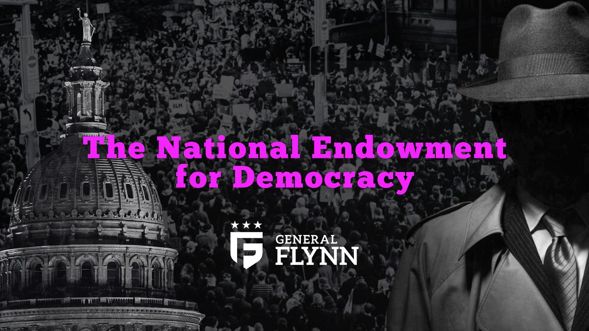 The National Endowment for Democracy