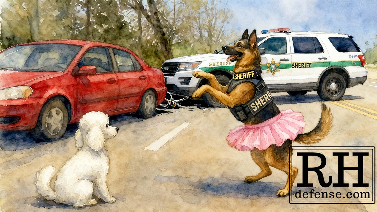 A watercolor-style scene on a roadside traffic stop where a German Shepherd police K-9, wearing a sheriff’s vest and a pink tutu, stands upright and dances on its hind legs in front of a small white poodle sitting calmly by a red car. A sheriff SUV is parked behind them, suggesting a comedic take on a drug-sniffing dog distraction during a pretext stop.
