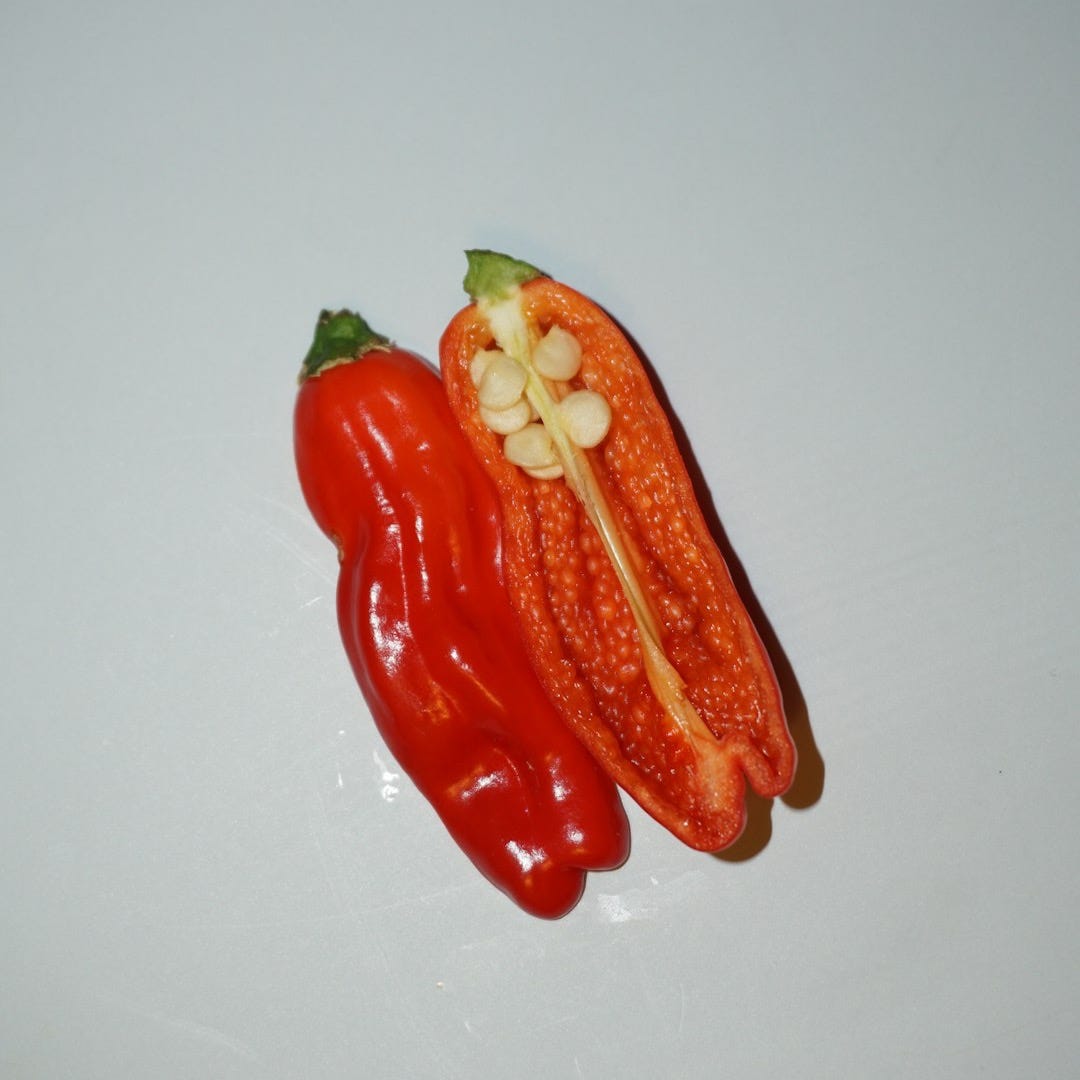 a red pepper sitting on top of a white table a red pepper sitting on top of a white table