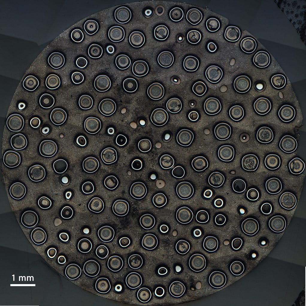 Cross-section of a fuel compact containing TRISO particles Cross-section of a fuel compact containing TRISO particles