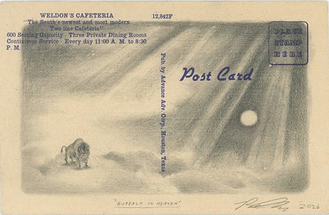 pencil drawings of animals and nature scenes on vintage postcards