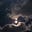 A theory of everything's avatar