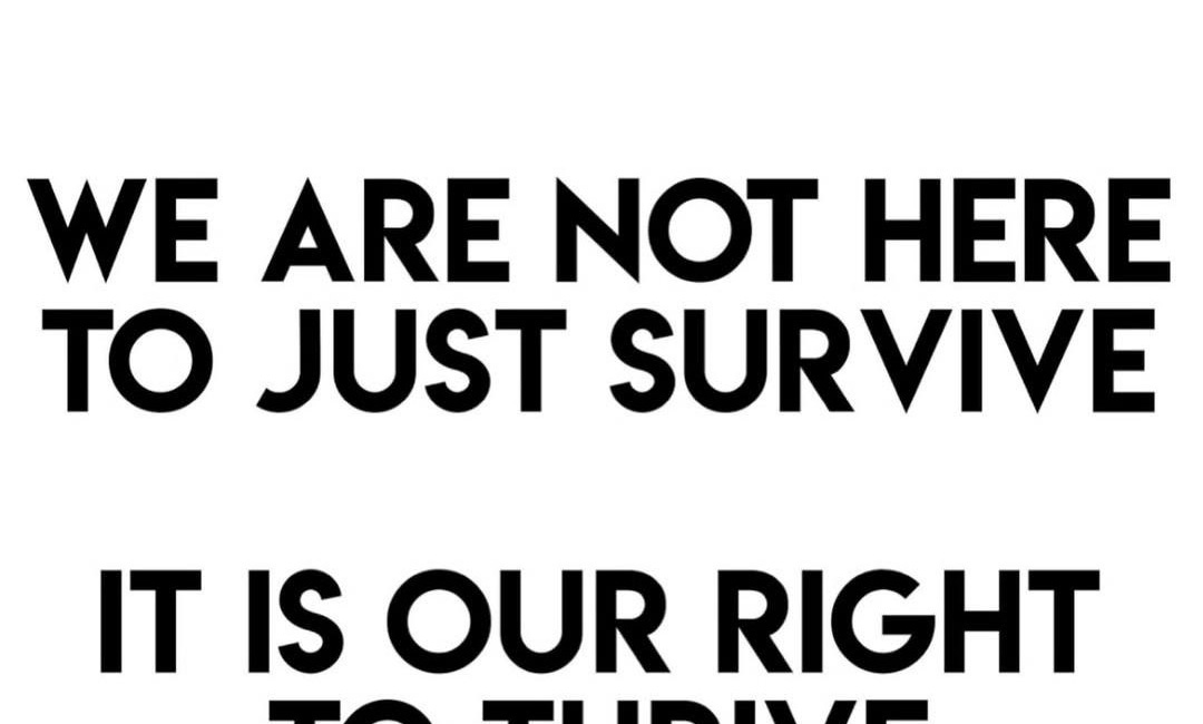 MEME DROP #328: We Are Not Here To Just Survive. 