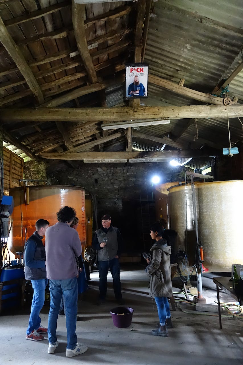 leroy hogson les vignes de babass old cellar