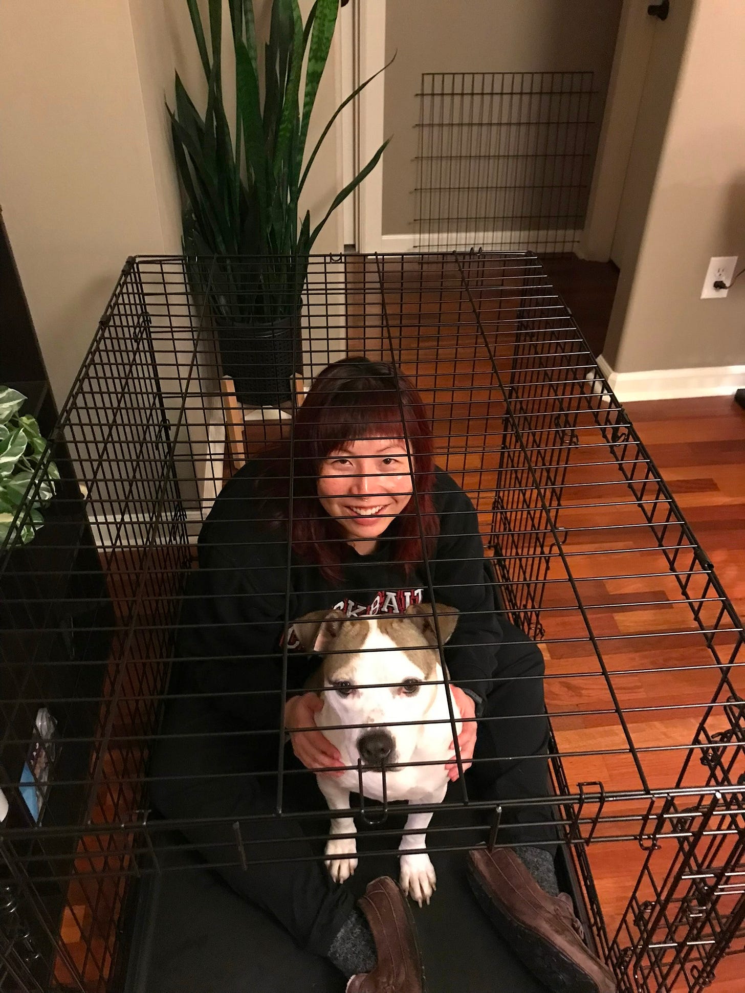 Jane and Cookie sitting in a crate