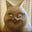 CeeMcG's avatar