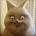CeeMcG's avatar