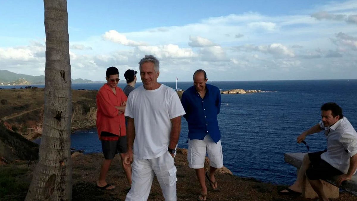 Where Are Jeffrey Epstein's Kids? - by Arthur Bloom
