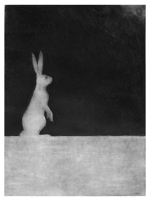 This may contain: a black and white photo of a rabbit sitting on its hind legs in the dark