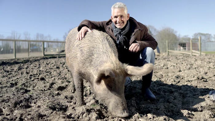 Watch What Not to Eat | Stream free on Channel 4