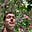Samuel Renteria's avatar