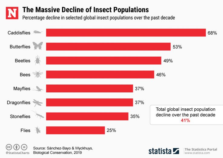 Insection Population Declines Insection Population Declines