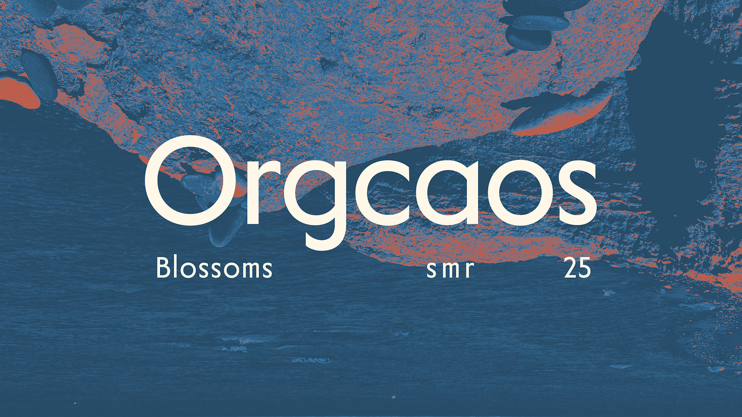 Graphic featuring the word “Orgcaos” in large type, with the words “Blossoms,” “smr,” and “25” beneath. Background shows a stylized, high-contrast rocky shoreline in blue and clay tones.