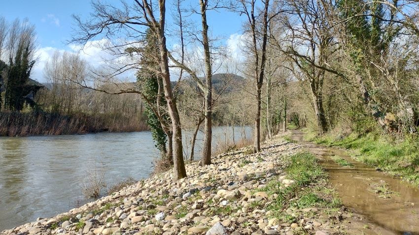Camino junto a la orilla del río Nalón