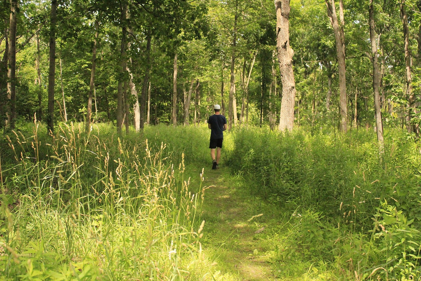 a man walking through a grassy forest