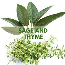 Sage & Time