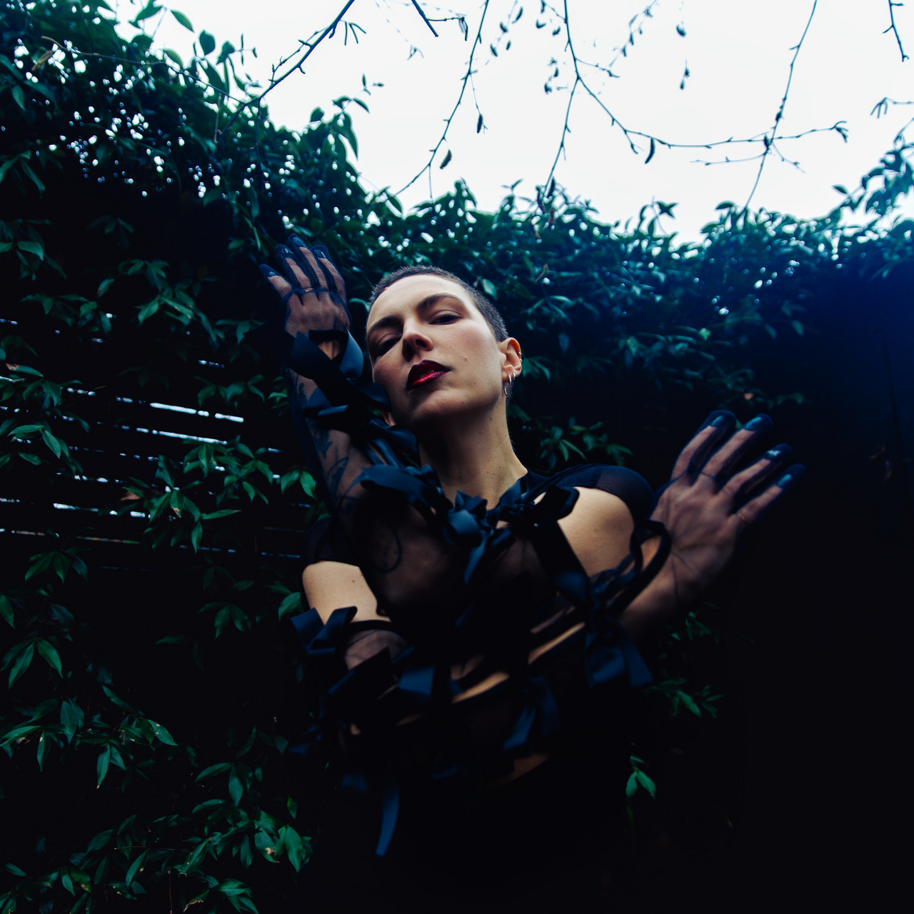 Drum & Lace field notes