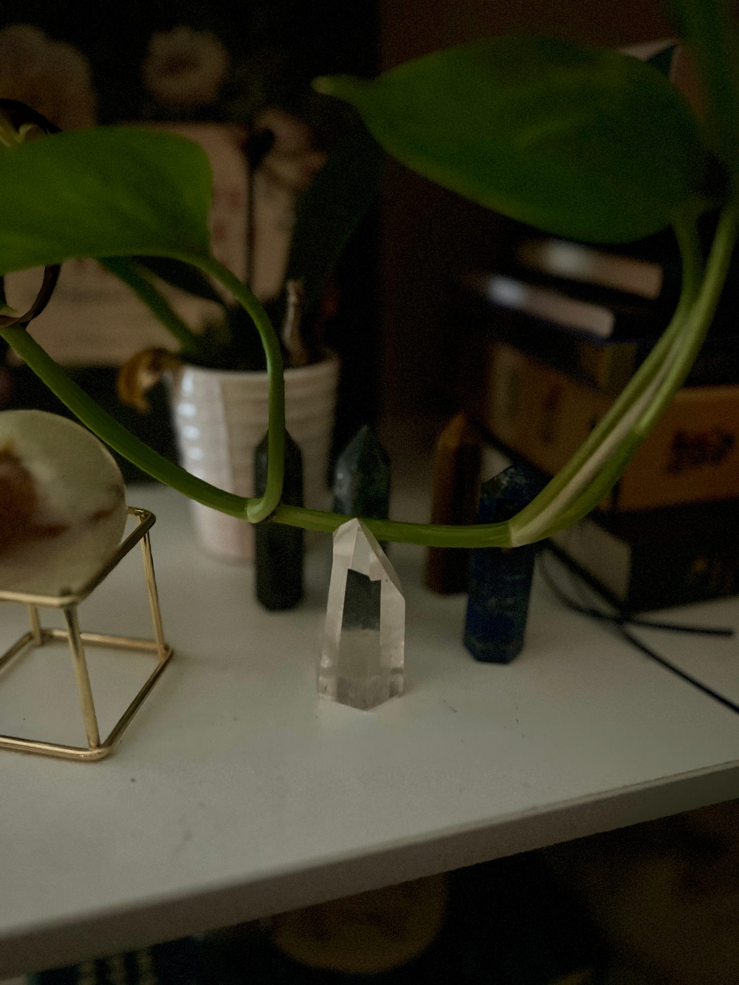 crystals and pothos