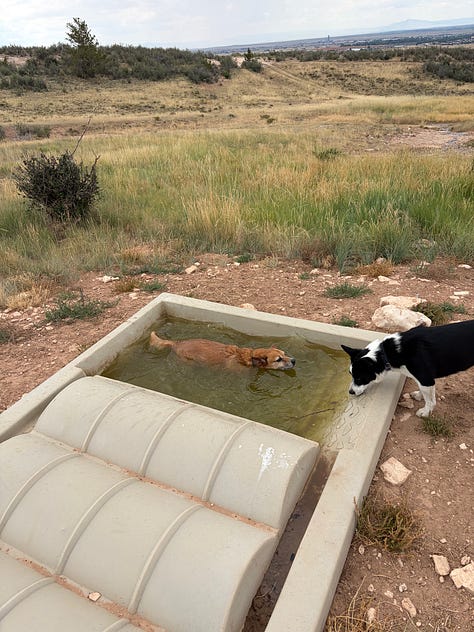 Images of the author’s time hiking, horseback riding, camping, fihsing, etc. in and around Laramie, WY