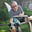 Rick Rosteck's avatar