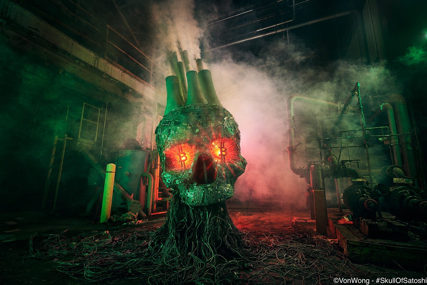 Artist Benjamin Von Wong & Greenpeace Unveil Giant Skull to Highlight  Bitcoin's Climate Impact - Greenpeace USA