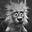 Douglas Brown's avatar